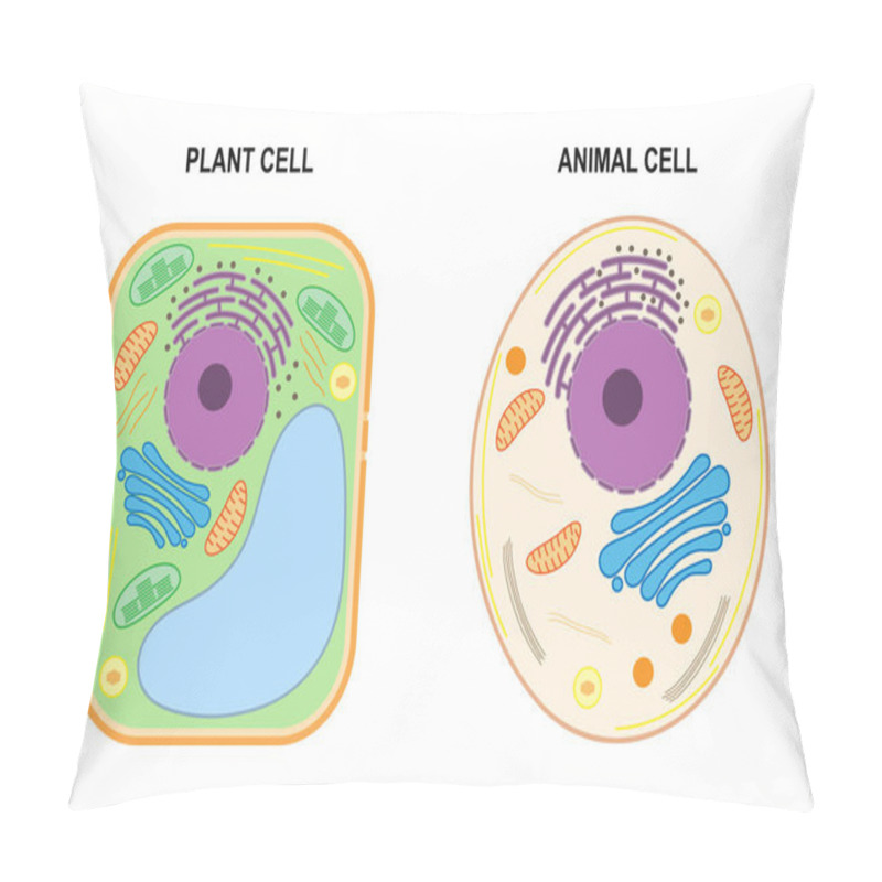 Personality  The Structure Of A Plant Cell And An Animal Cell. Pillow Covers