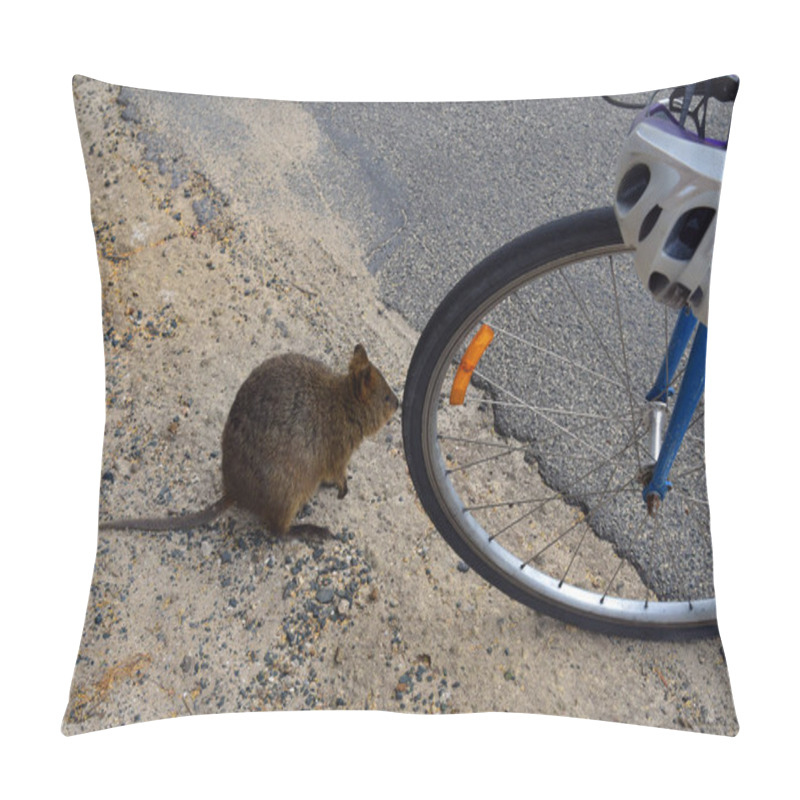 Personality  Australia, Zoology, Quokka Pillow Covers