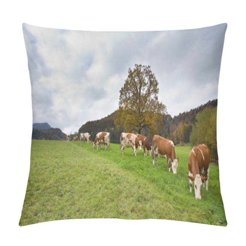 Personality  Simmental Cows On Meadow Pillow Covers