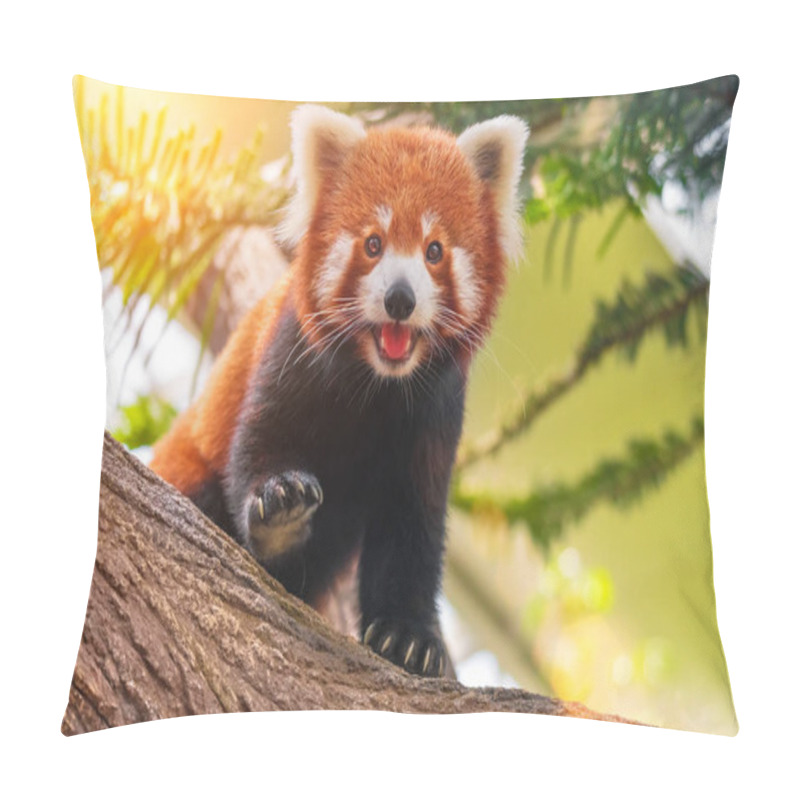 Personality  Red Panda On A Tree On A Sunny Day Pillow Covers