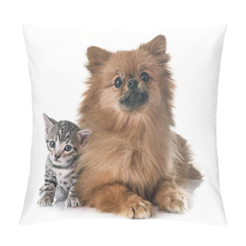 Personality  Bengal Kitten And Pomeranian Pillow Covers