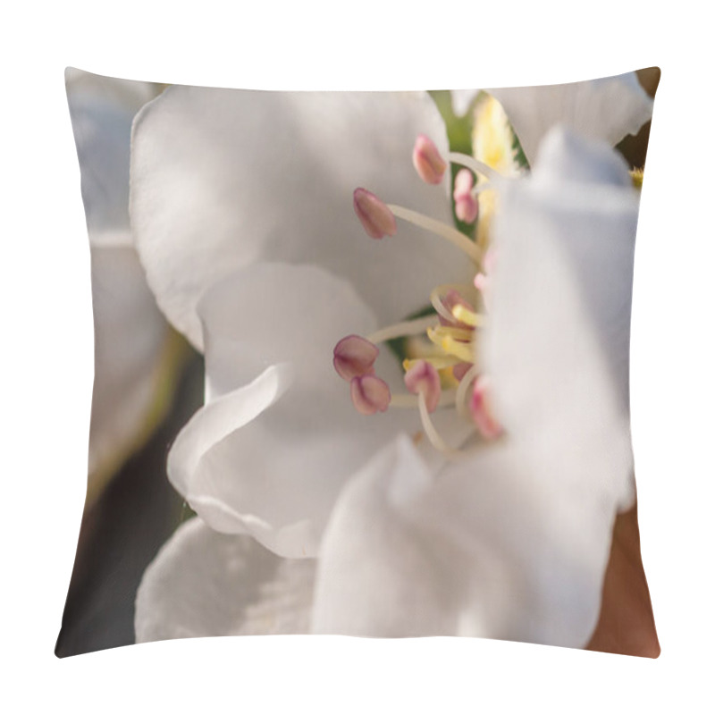 Personality  Close-up Of A Delicate White Flower, Revealing Intricate Details Of Its Pistils And Stamens. Pillow Covers