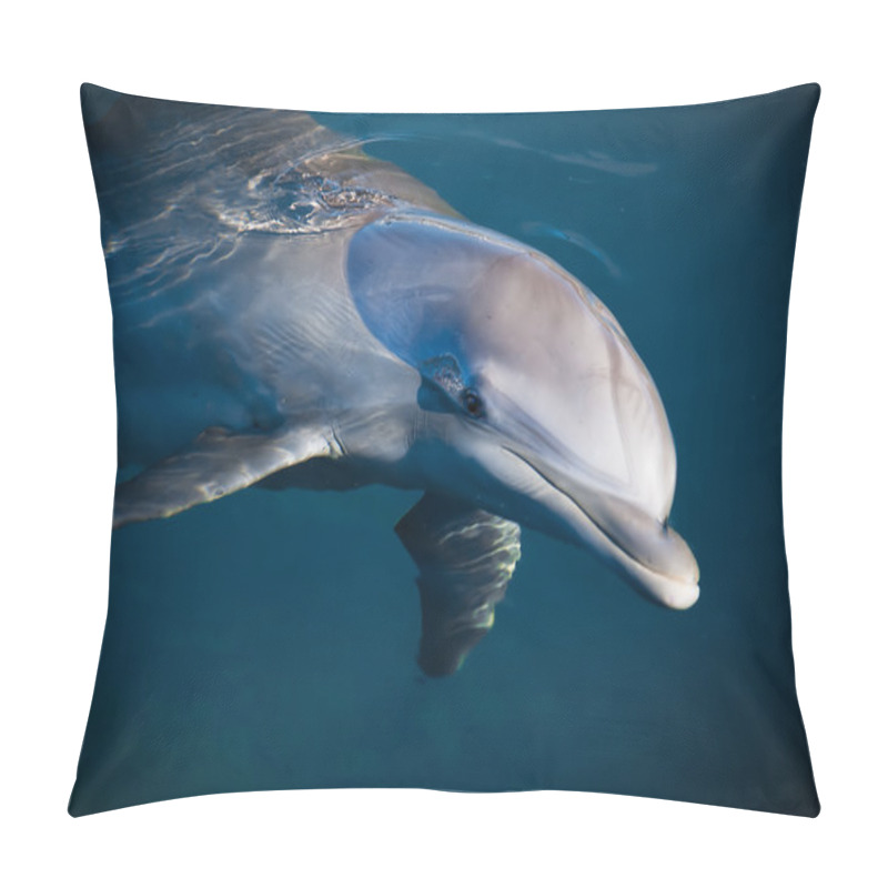 Personality  Dolphin Pillow Covers