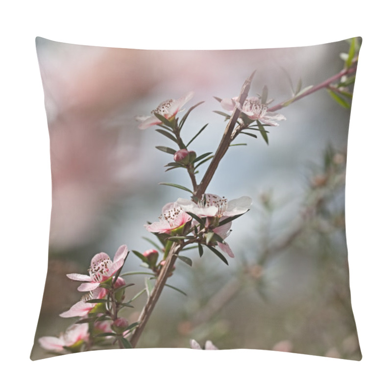 Personality  Australian Wildflower Leptospernum Pink Cascade Flower Pillow Covers