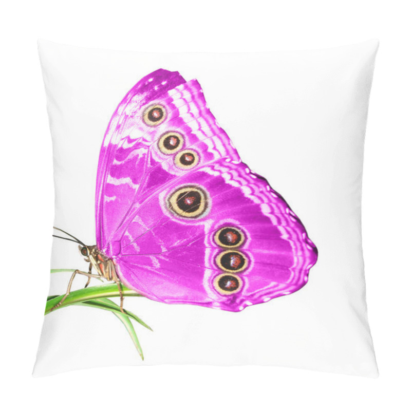 Personality  Beautiful Butterfly On A Green Leaf Pillow Covers