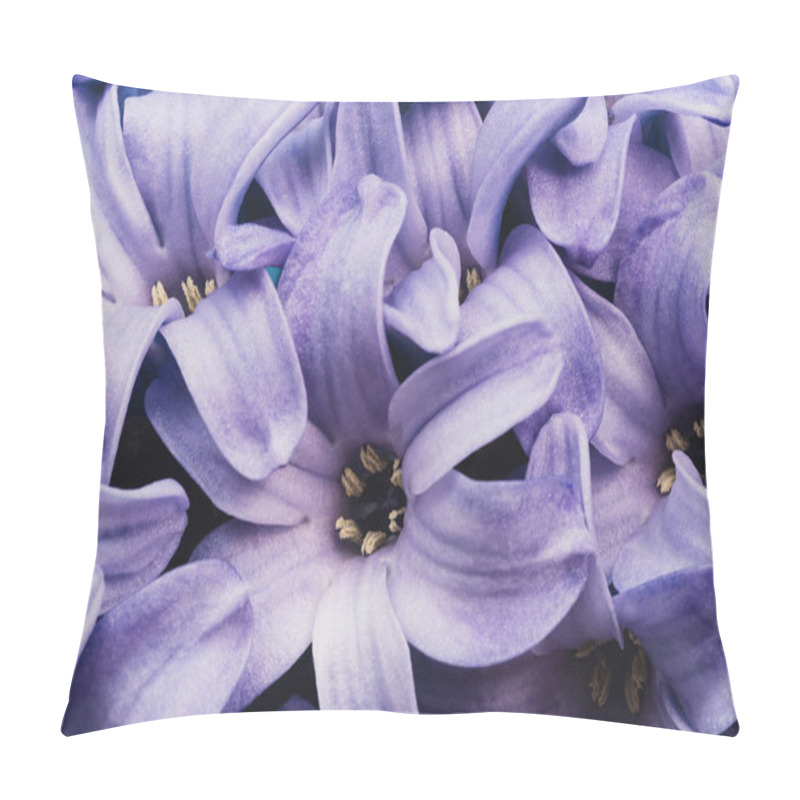 Personality  Macro Closeup View Of Hyacinth Violet Spring Flowers. Perfume Of Blooming Hyacinths Symbol Of Early Spring. Texture. Concept Of Holiday, Celebration, Women Day. Mother Day Pillow Covers