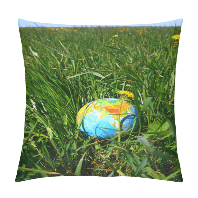 Personality  Globe In Grass Pillow Covers