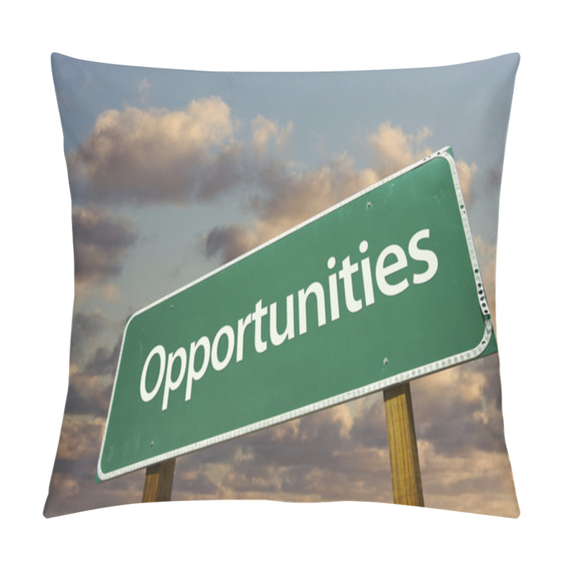 Personality  Opportunities Green Road Sign Pillow Covers