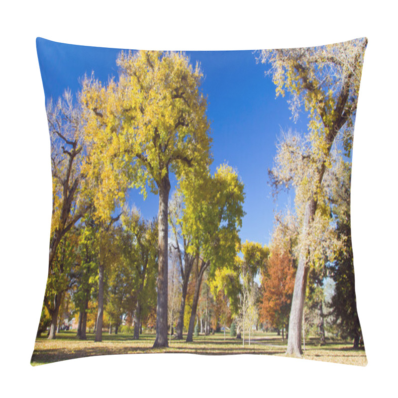 Personality  Sunny Fall Day In The Park Pillow Covers