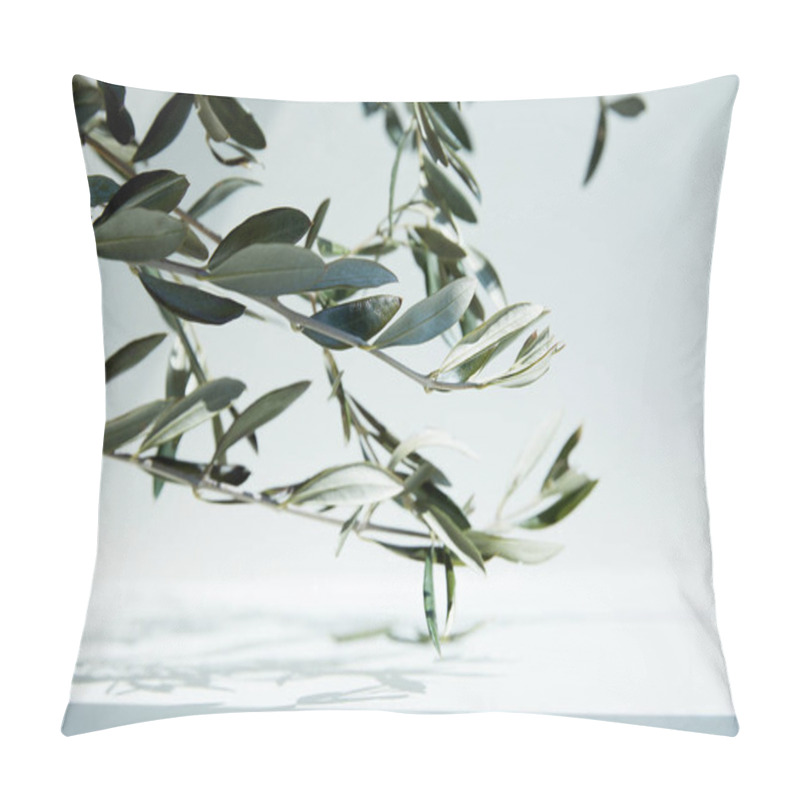 Personality  Close Up View Of Olive Branches Over White Surface With Shadow Of Leaves Pillow Covers