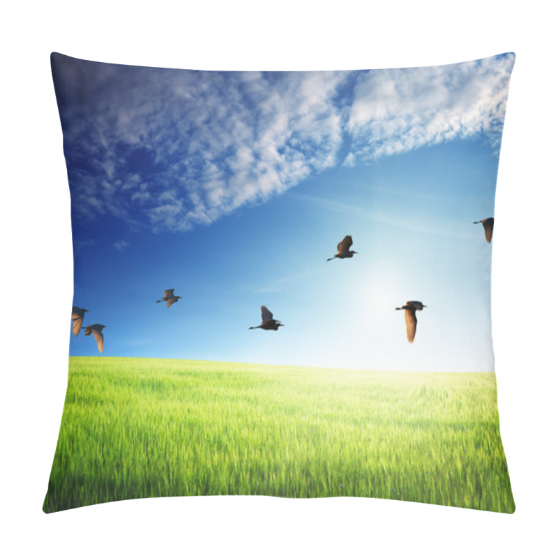 Personality  Field Of Barley And Flying Birds Pillow Covers