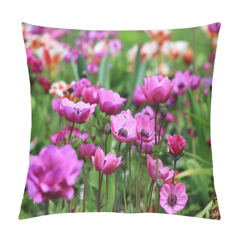 Personality  A Field Of Blooming Pink Anemones Pillow Covers