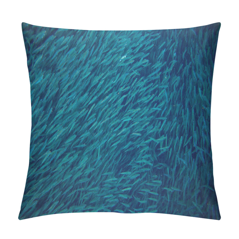 Personality  Sea Sardine Colony In Ocean. Massive Fish School Undersea Photo. Huge Fish School Swimming In Seawater. Mackerel Shoal. Oceanic Wildlife. Sea Sardines. Fishing For Seafood. Salt Water Fish Shoal Pillow Covers