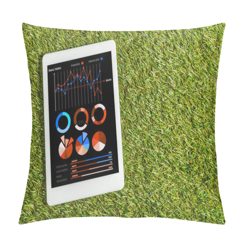 Personality  Top View Of Digital Tablet With Charts And Graphs On Screen On Green Grass, Energy Efficiency Concept Pillow Covers