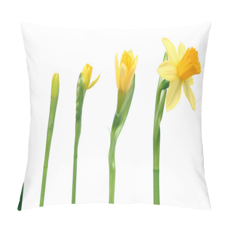 Personality  Spring Is Coming Pillow Covers