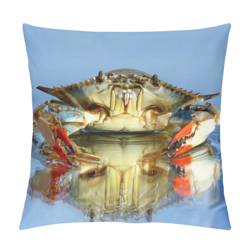 Personality  Live Blue Crab Pillow Covers