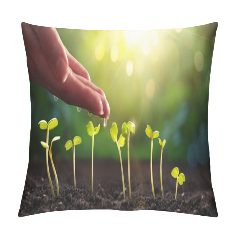 Personality   Plant Seedling On Natural Sunny Background Agriculture Pillow Covers