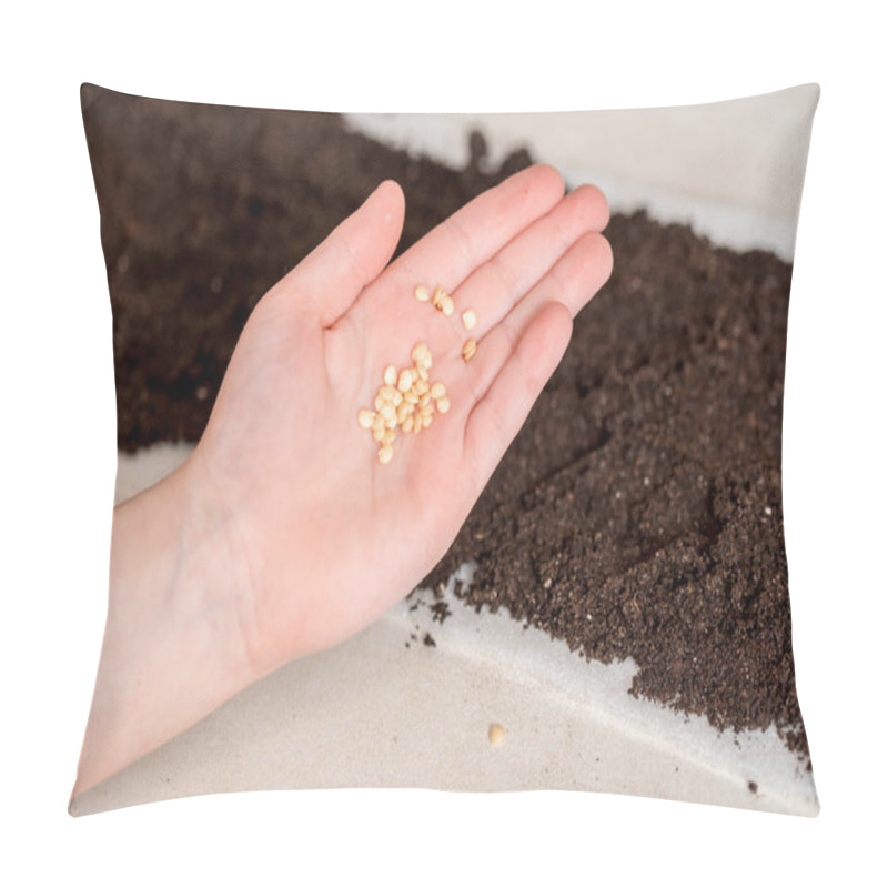 Personality  Hand Holding Tomato Seeds Ready To Sow. Seeds Of Sweet Pepper In The Ground For Planting On The Windowsill Pillow Covers