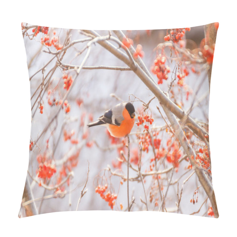 Personality  Bullfinch On A Branch Of Mountain Ash Pillow Covers