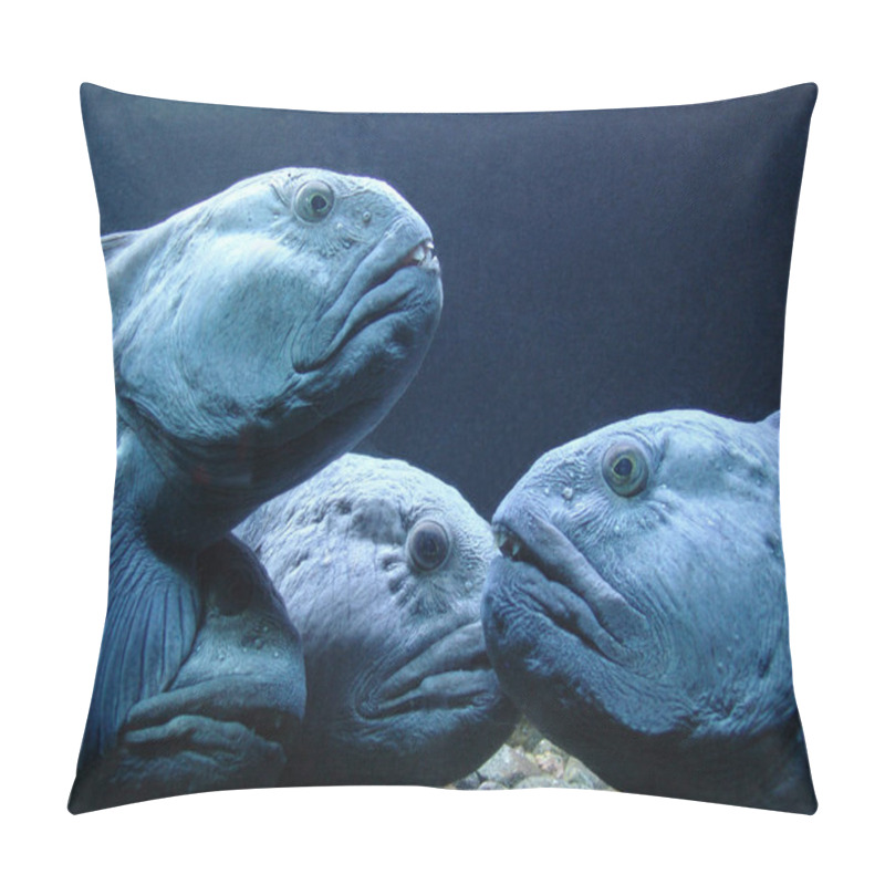 Personality  A Group Of Wild Turtles Pillow Covers