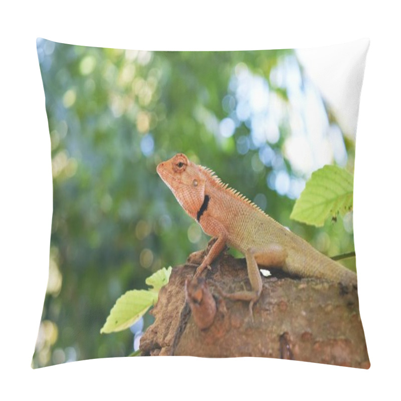 Personality  Orange Head Of Thai Chameleon On Tree With Natural Green  Background, Reptile In Thailand Pillow Covers