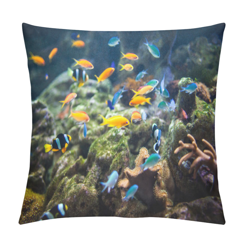 Personality  Coral Reef And Fishes. Pillow Covers