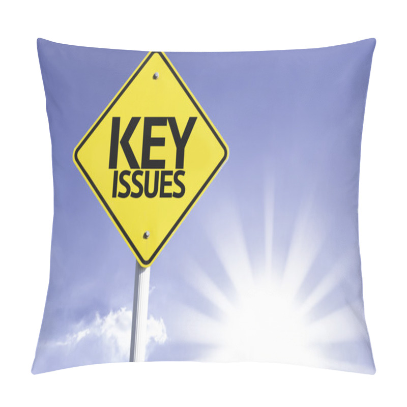 Personality  Key Issues Road Sign Pillow Covers