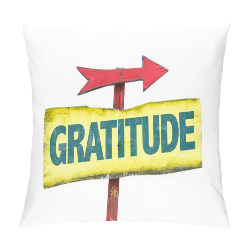 Personality  Gratitude Text Sign Pillow Covers