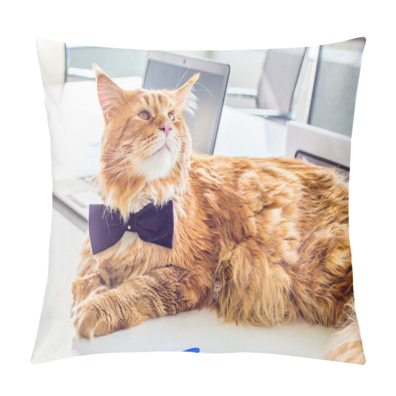 Personality  Funny Businessman Maine Coon Cat Wearing Butterfly Tie Lying On The Table In His Office Signing An Agreement With His New Employee Pillow Covers