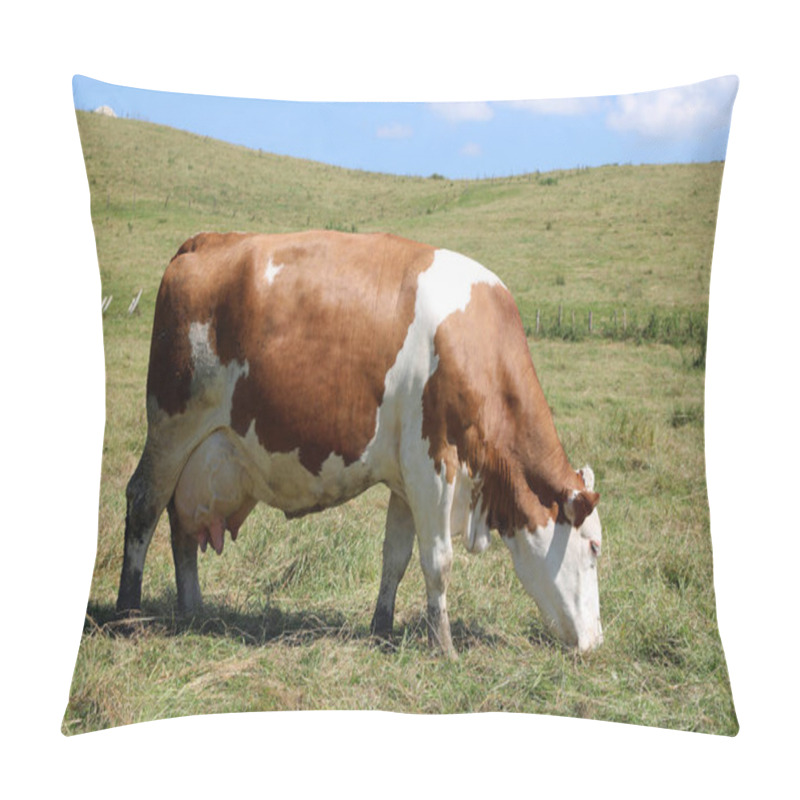 Personality  Heavily Pregnant Cow With Large Swollen Udders Full Of Milk Grazing In A Mountain Pasture Pillow Covers