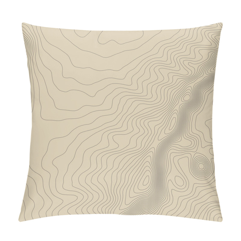 Personality  Topographic Map Background Concept With Space For Your Copy. Pillow Covers