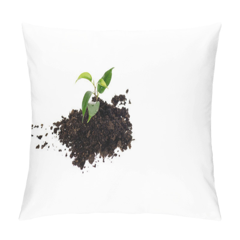 Personality  Heap Of Ground With Small Green Plant Isolated On White Pillow Covers