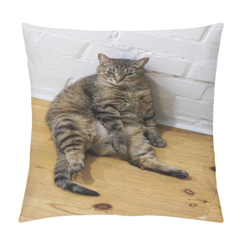 Personality  Cat Sitting Like A Human, Showcasing Its Quirky Personality And Providing A Delightful Glimpse Into Feline Behavior. Ideal For Pet Humor And Animal-themed Content. Pillow Covers