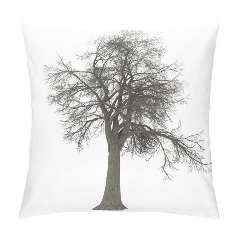 Personality  Ash Tree Leafless In 100Mpix Pillow Covers