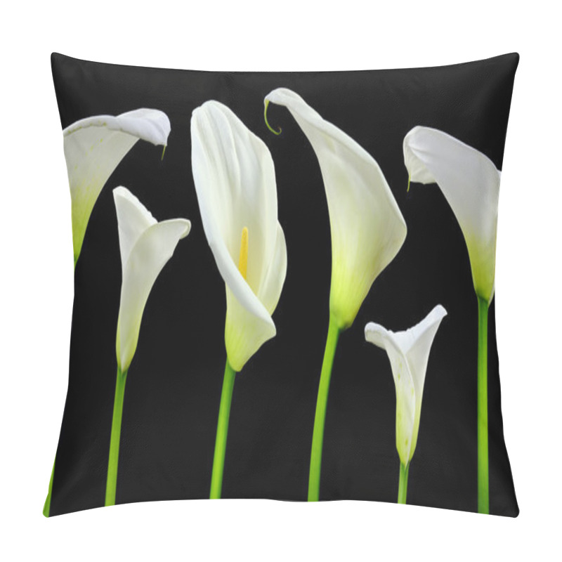 Personality  Beautiful White Calla Lilies On Black Background Pillow Covers