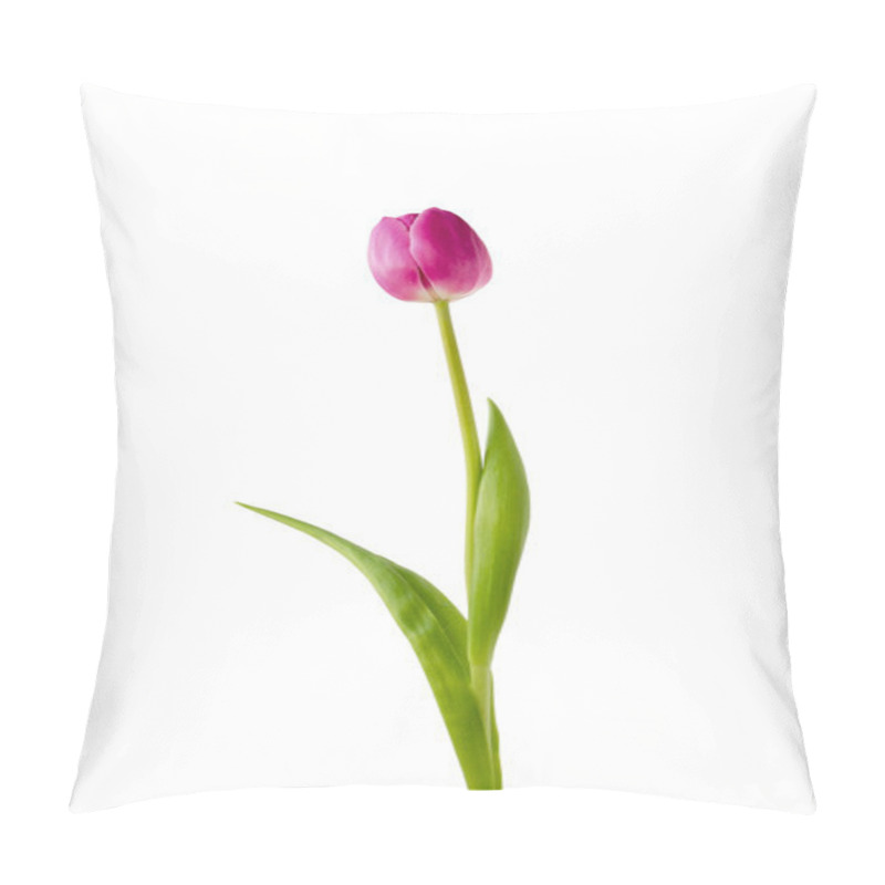 Personality  Purple Tulip On White Background Pillow Covers