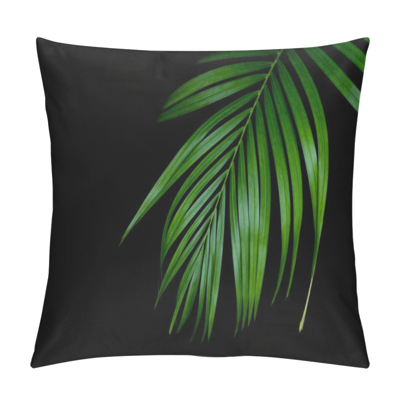 Personality  Green Leaves Pattern,leaf Palm Tree In The Forest Pillow Covers