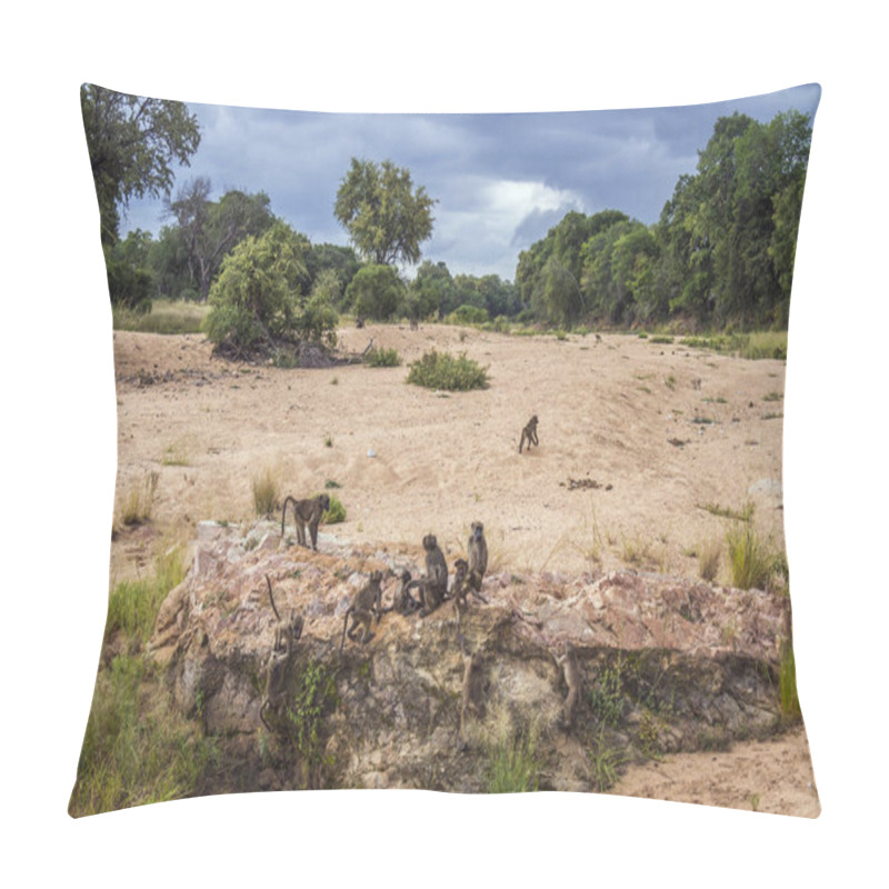 Personality  Chacma Baboon In Kruger National Park, South Africa Pillow Covers