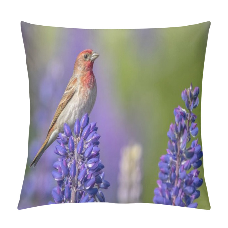 Personality  A Beautiful House Finch Bird Perched On A Purple-petaled Flower On A Blurred Background Pillow Covers