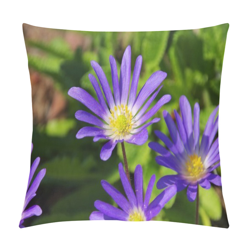 Personality  Grecian Windflower  Pillow Covers