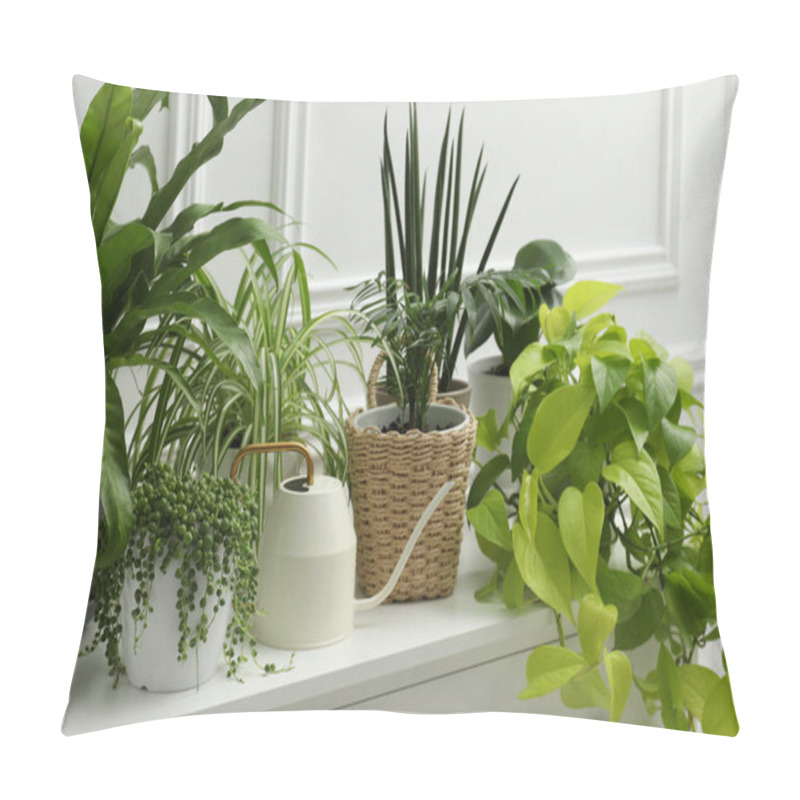 Personality  Green Potted Houseplants On Chest Of Drawers Near White Wall Pillow Covers