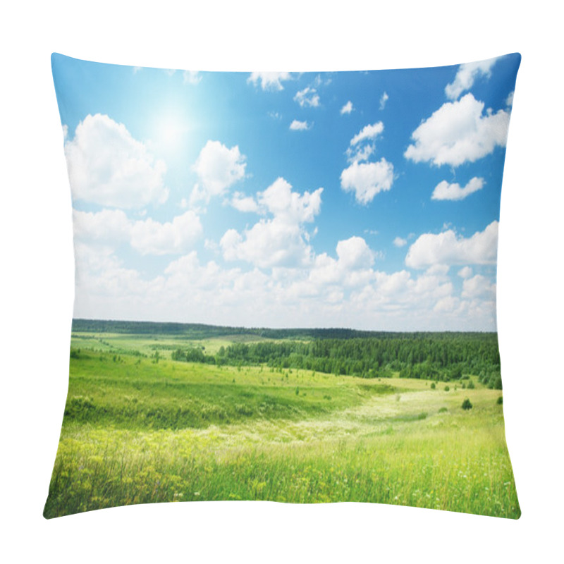 Personality  Summer Sunny Day And Field Of Flowers Pillow Covers