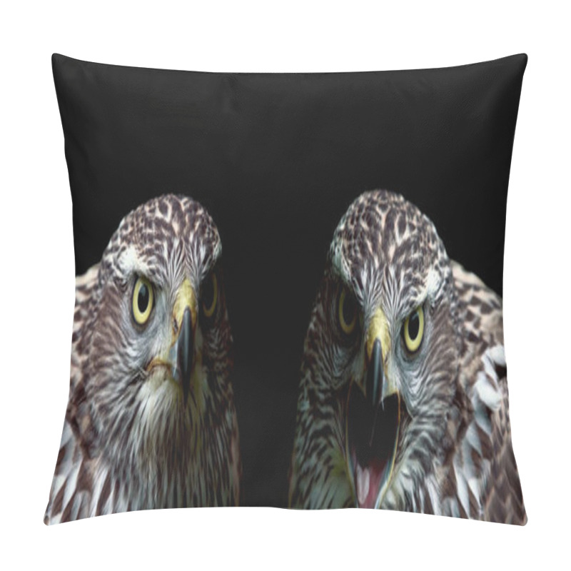 Personality  Two Hawks Close-up On Black Background Pillow Covers