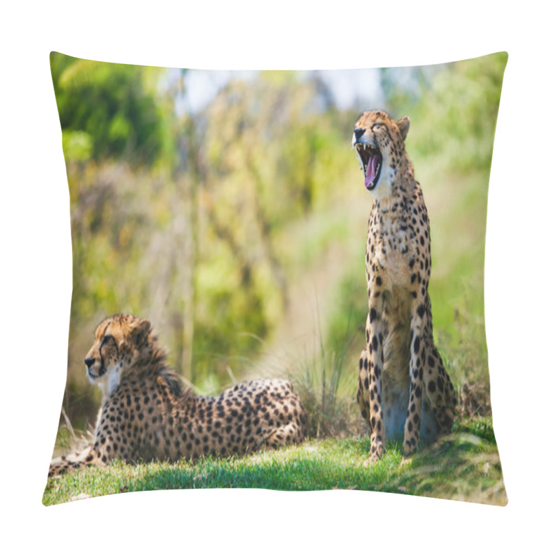 Personality  Two African Cheetahs Relaxing In The Grass Pillow Covers