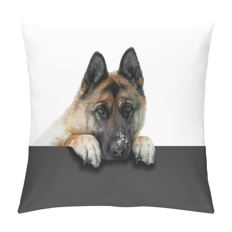 Personality  German Shepherd Dog Peeking Out Through The Grey Fence. Muzzle G Pillow Covers