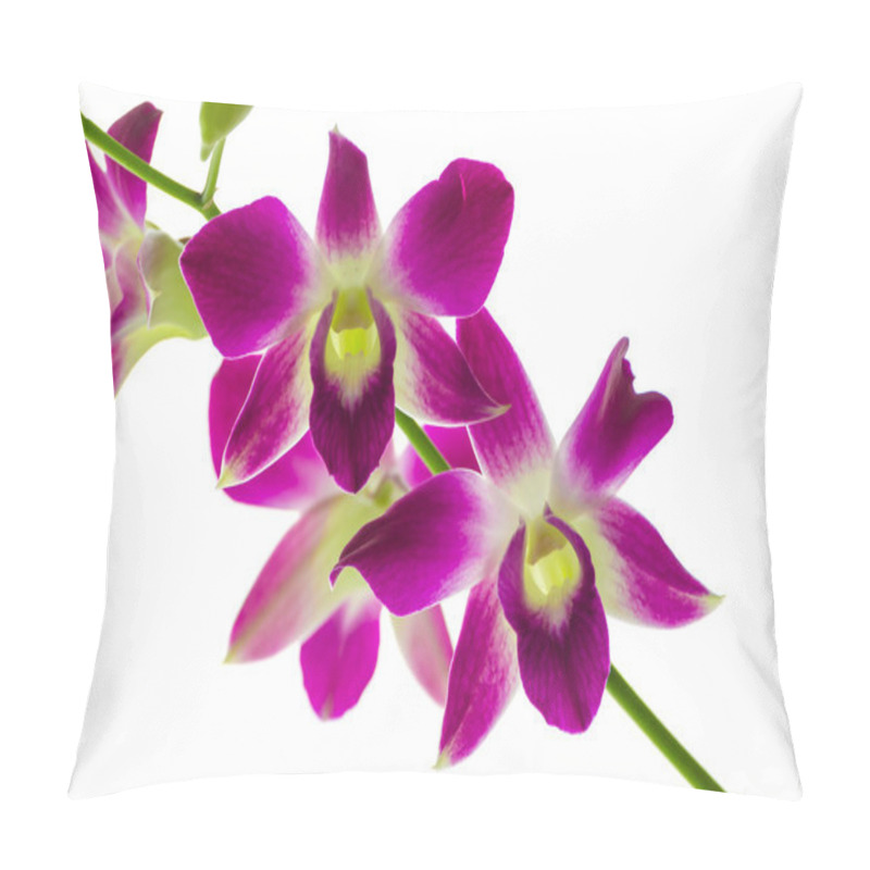 Personality  Orchind Flower Pillow Covers