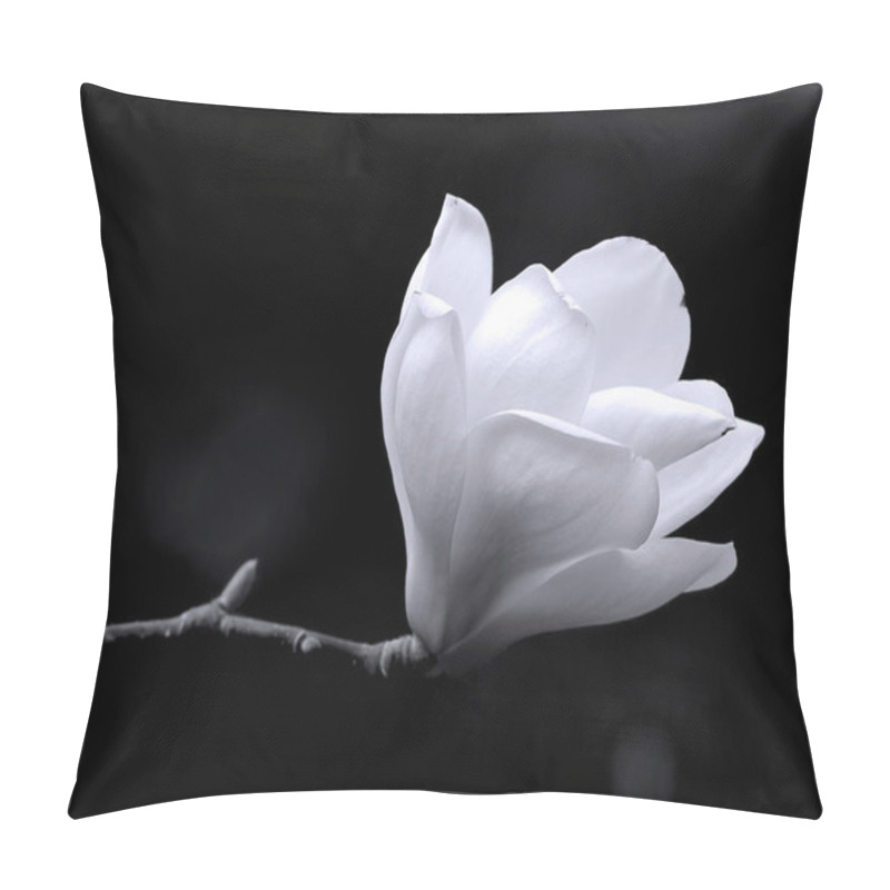 Personality  A Black And White Fine Art Portrait Of The Flower From A Magnolia Tree. Pillow Covers