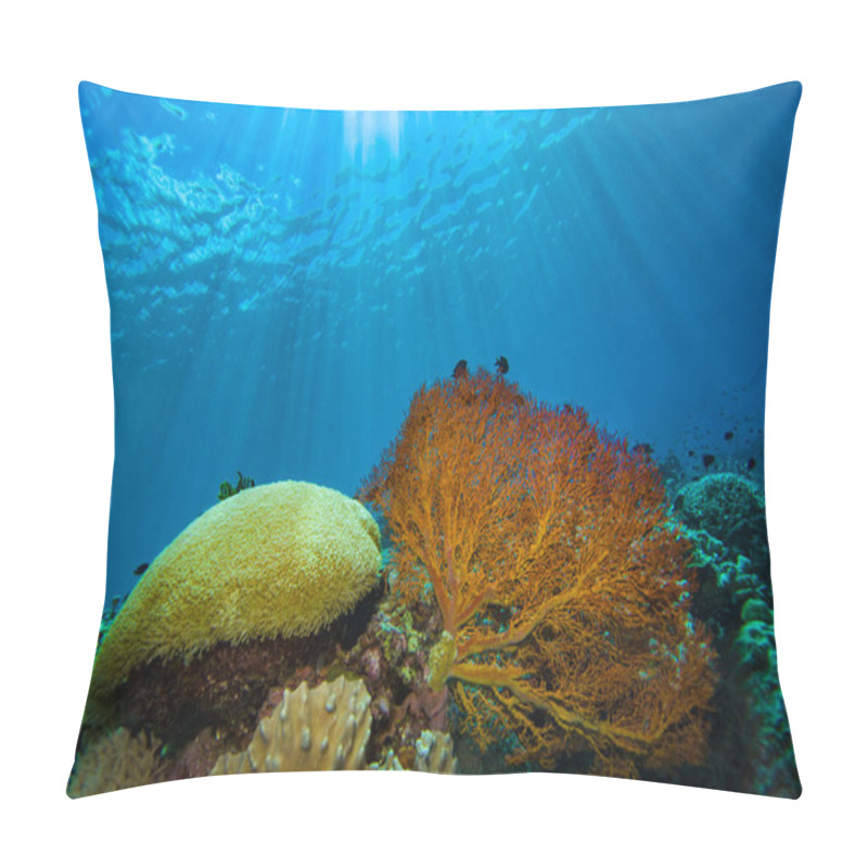 Personality  Indonesia Tropical Coral Reefs Underwater Landscape Pillow Covers