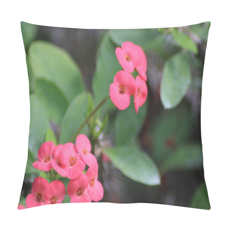 Personality  Clusters Of Vibrant Pink Flowers Stand Out Against A Backdrop Of Lush Green Foliage, Creating A Stunning Display Of Color During A Sunny Spring Day In The Garden. Pillow Covers