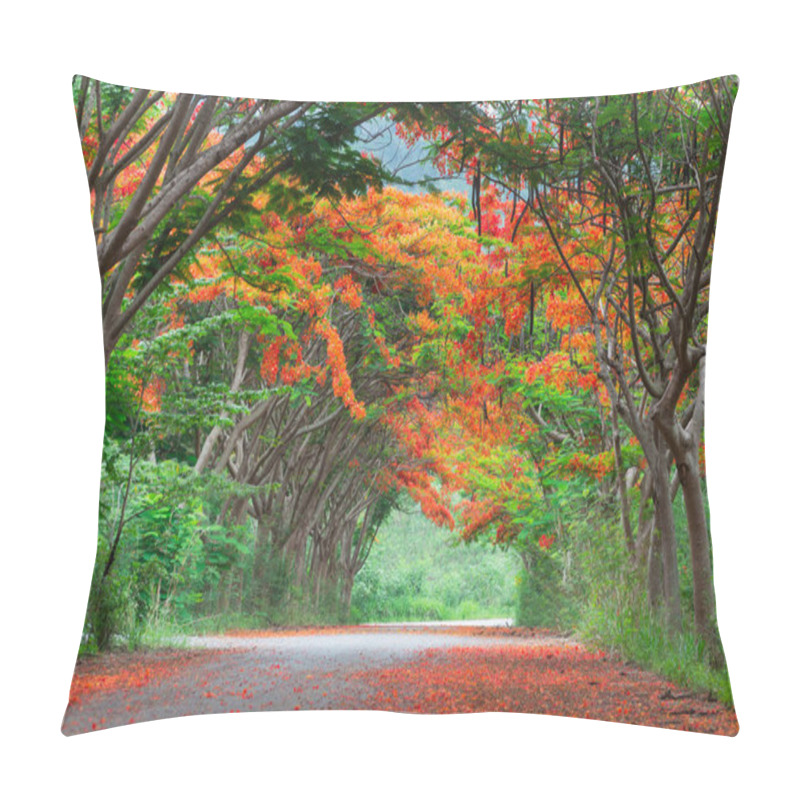 Personality  Scene Of Flame Tree, Royal Poinciana Pillow Covers